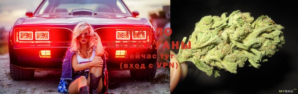 молекула духа Мегион