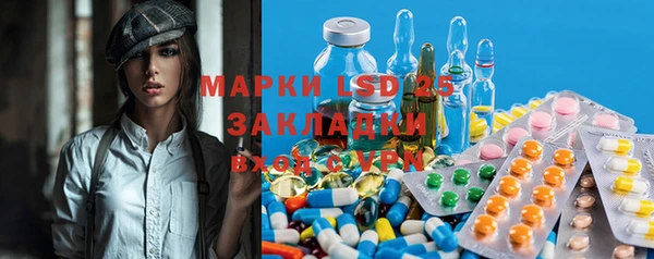 PSILOCYBIN Ростов