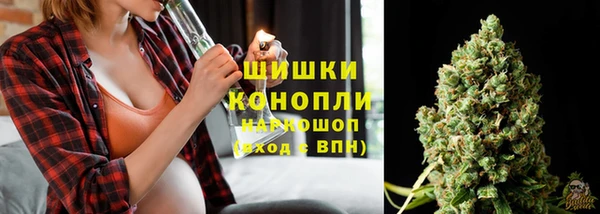 PSILOCYBIN Надым
