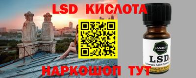 PSILOCYBIN Гатчина
