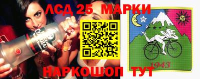 PSILOCYBIN Гатчина