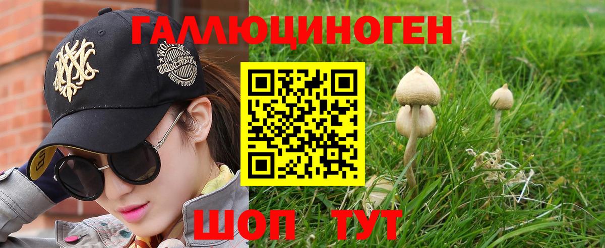 Кулебаки  Псилоцибиновые грибы ЛСД  закладка  Вход с VPN 