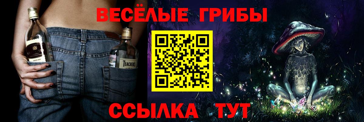 Псилоцибиновые грибы MAGIC MUSHROOMS Кулебаки